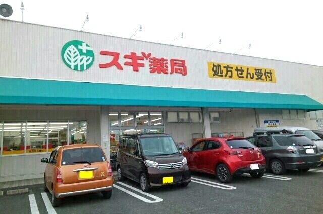 近くのスギ薬局御油店様まで300m（徒歩4分）