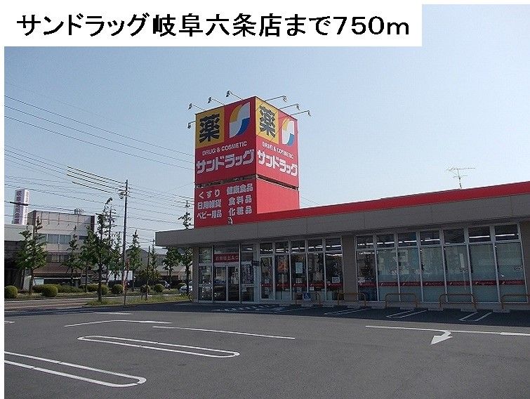 近くのサンドラッグ岐阜六条店まで750m（徒歩10分）
