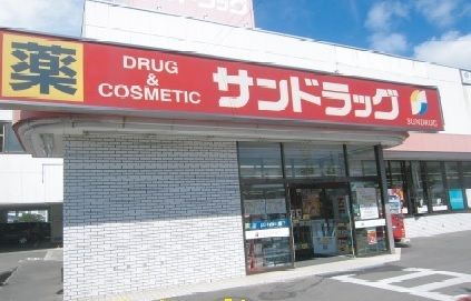 近くのサンドラッグまで1,000m(徒歩13分)