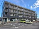 ニューマリッチ石川壱号館の間取り画像
