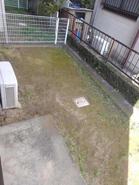 庭
