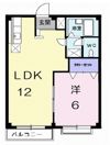 エルディム中本の間取り画像