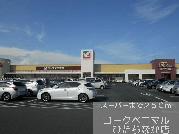 近くのヨークベニマルまで250m（徒歩4分）