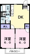 シティ・ドミールの間取り画像