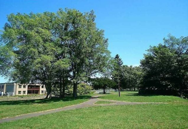 近くの厚別南公園まで400m(徒歩5分)