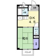シャルマン苗代の間取り画像