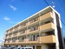 アメニティ前栽1号館の間取り画像
