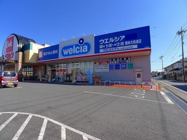 近くのウエルシア館林大街道店まで220m（徒歩3分）