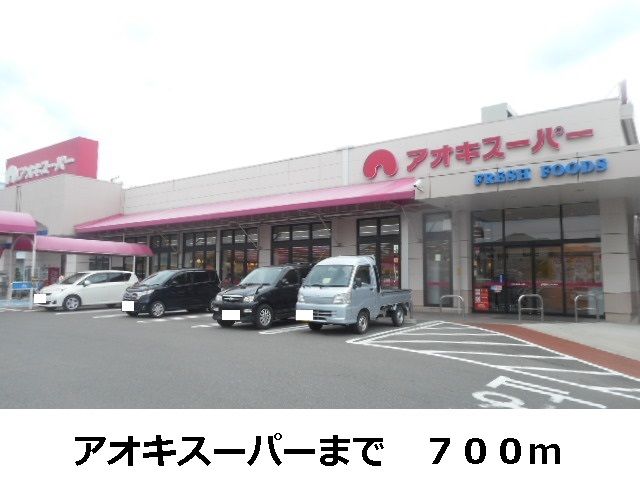 近くのアオキスーパーまで700m(徒歩9分)