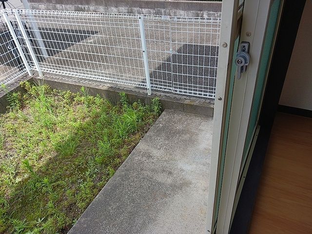 庭