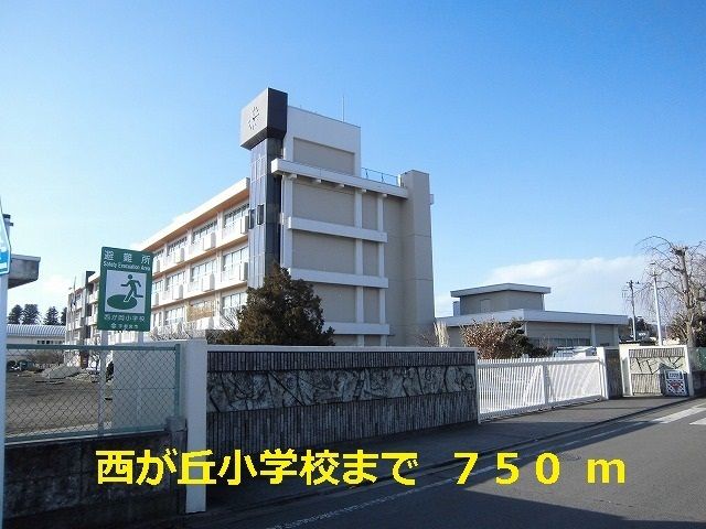 近くの西が丘小学校まで750m（徒歩10分）