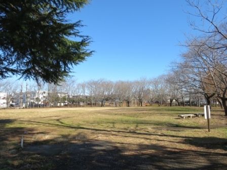 近くの天久保公園まで210m（徒歩3分）