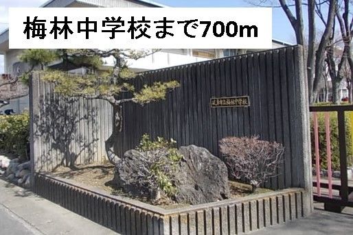 近くの梅林中学校まで700m（徒歩9分）