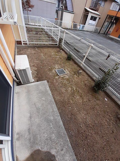 庭