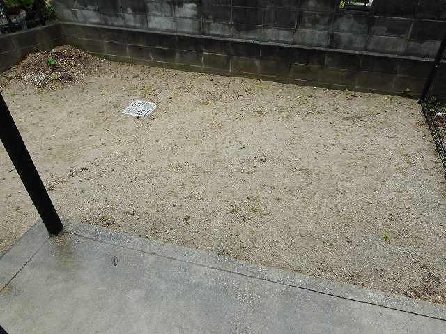 庭