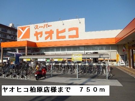 近くのヤオヒコ柏原店様まで750m（徒歩10分）