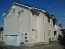 メゾンアルファAの間取り画像