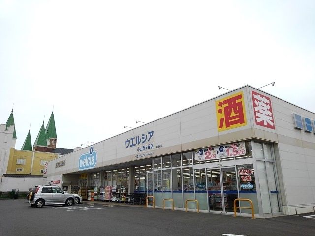 近くのウエルシア小山雨ヶ谷店まで850m（徒歩11分）