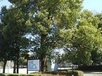 近くの舟地蔵公園まで750m(徒歩10分)