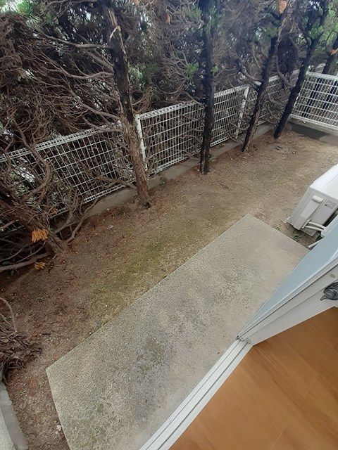 庭