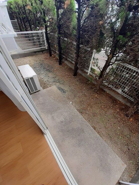 庭