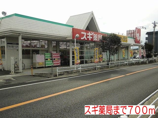 近くのスギ薬局まで700m（徒歩9分）