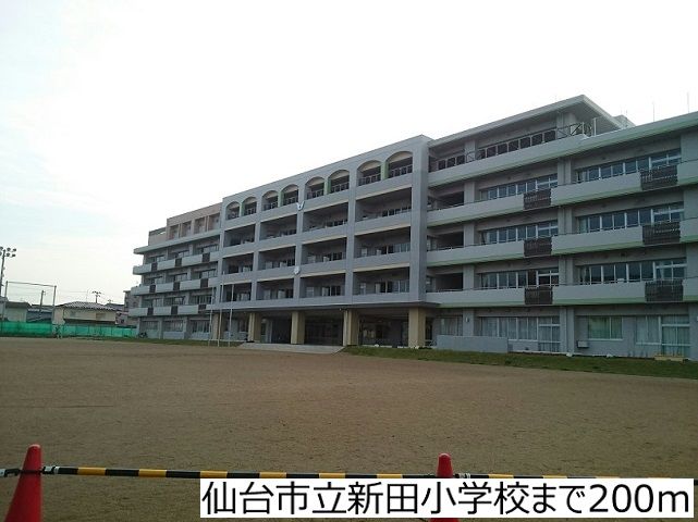 近くの仙台市立新田小学校まで200m(徒歩3分)