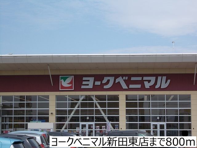 近くのヨークベニマル新田東店まで800m(徒歩10分)