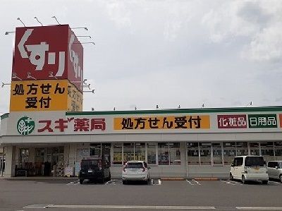 近くのスギドラッグ岐阜六条店まで350m（徒歩5分）