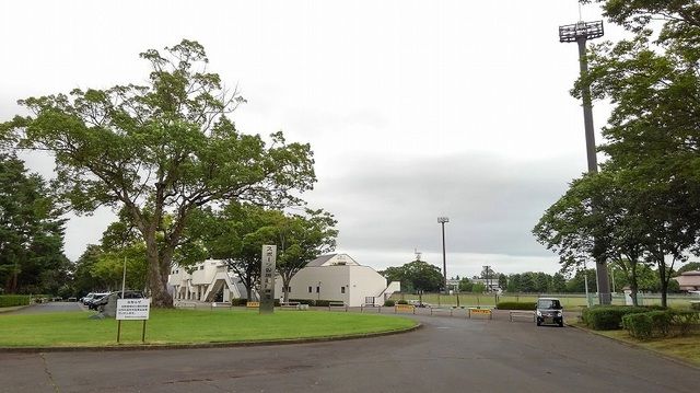 近くの中台運動公園まで900m(徒歩12分)