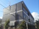 カームパインツリー23の外観