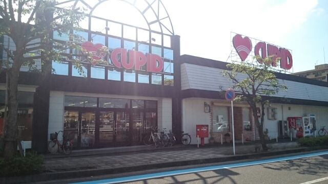 近くのキューピット　石山店まで600m（徒歩8分）