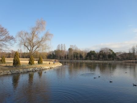 近くの洞峰公園まで500m（徒歩7分）