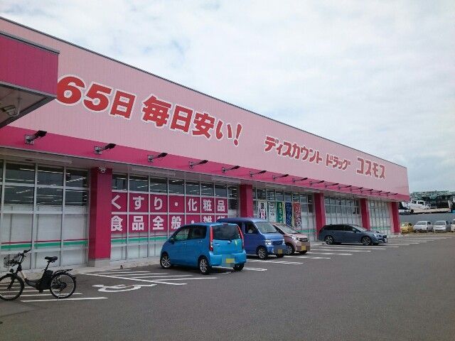 近くのドラッグコスモス様まで1,000m（徒歩13分）