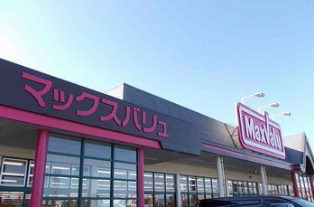 近くのマックスバリュまで1,000m（徒歩13分）