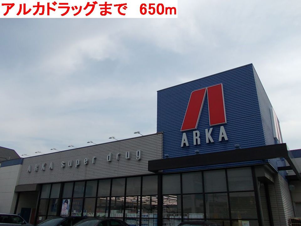 近くのアルカドラッグまで650m（徒歩9分）