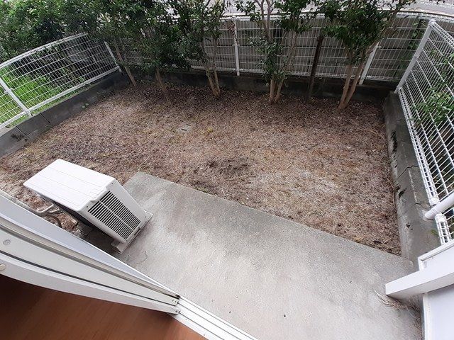庭