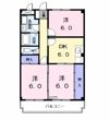 シャトレ純の間取り画像