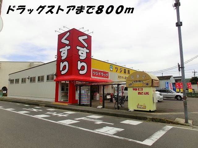 近くのツジ薬局まで800m（徒歩10分）