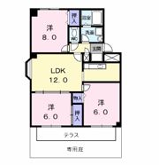 フローレンスハイツの間取り画像