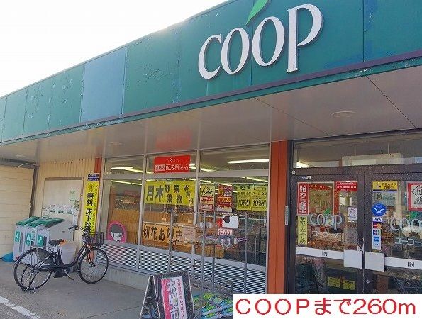 近くのＣＯＯＰまで260m（徒歩4分）
