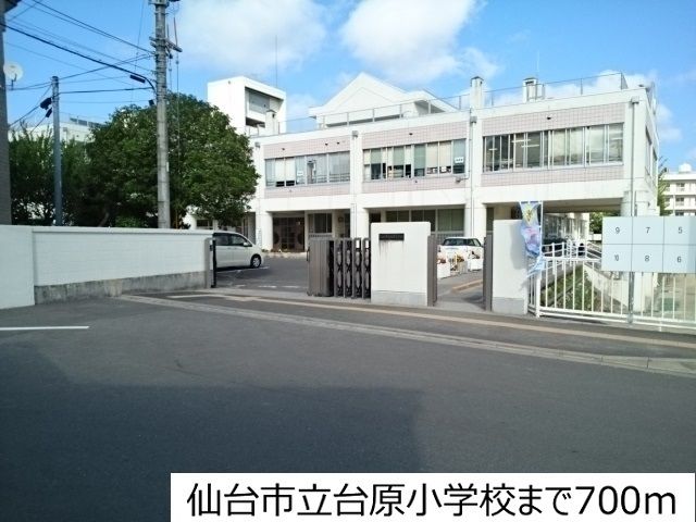 近くの仙台市立台原小学校まで700m（徒歩9分）