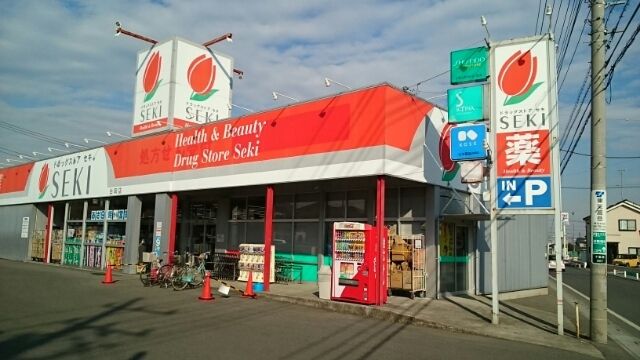 近くのセキ薬品白岡店まで1,000m（徒歩13分）