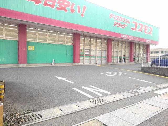 近くのコスモス白水ケ丘店まで350m（徒歩5分）