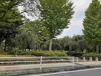 近くの吉羽公園まで450m（徒歩6分）