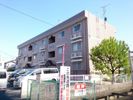 パル橘の間取り画像