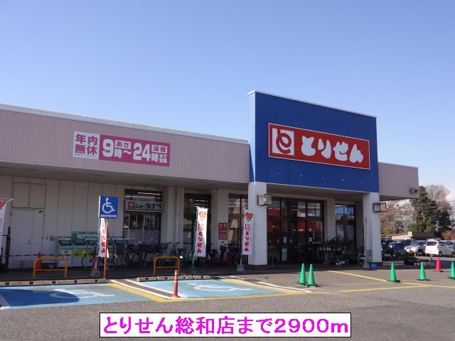 近くのとりせん総和店まで2,900m（徒歩37分）