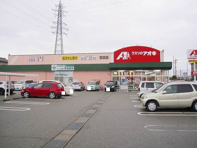 近くのドラッグストアまで750m（徒歩10分）