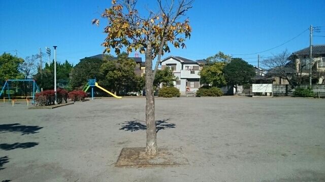 近くの塩田町公園まで360m(徒歩5分)