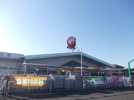 近くのコメリまで550m（徒歩7分）